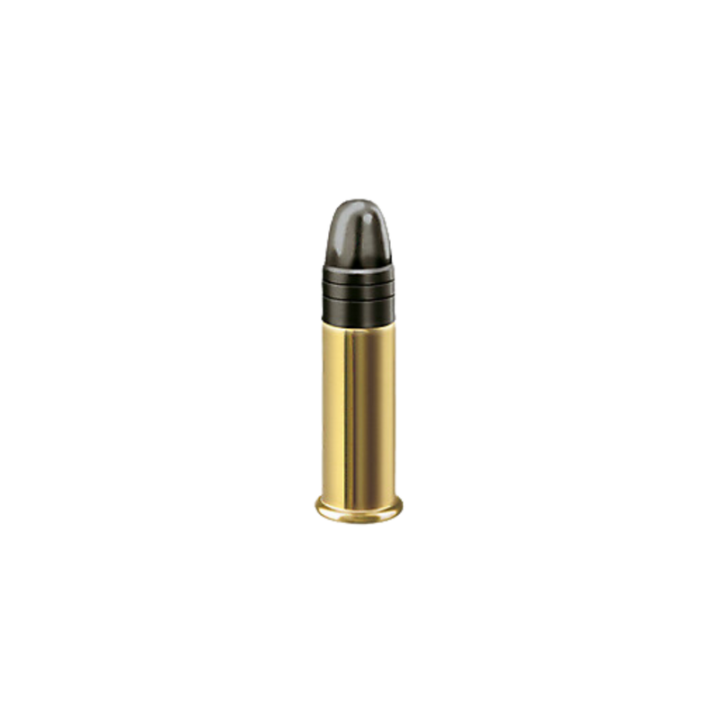 Load image into Gallery viewer, RWS Rifle Match .22 LR 40GR 50rds | FWGC
